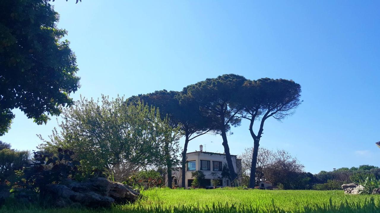 Tenuta Donnanna Agriturismo&Glamping ガラトーネ エクステリア 写真